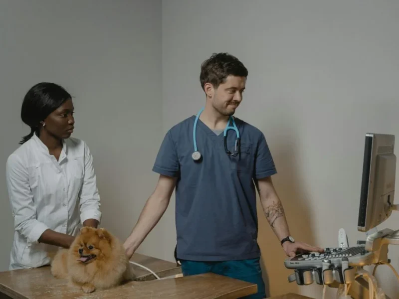 pexels-photo-6234610-6234610-1024x683